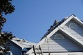 Lion Roofing & Gutters -Fort Collins